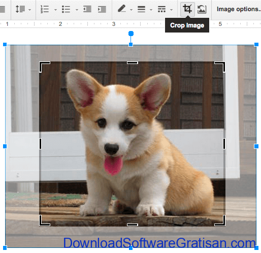 crop-image-google-doc