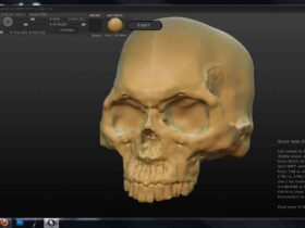 sculptris skull