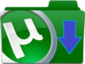 cara download file torrent