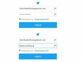 menampilkan password tersembunyi di browser