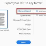 3 Cara Mengubah PDF ke Word - ss 2
