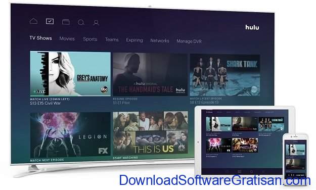 Alternatif Netflix untuk Streaming Film & Acara TV Online Hulu Plus