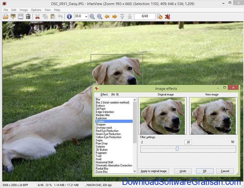 Aplikasi Edit Foto PC Gratis Selain Photoshop IrfanView 2