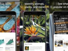 Aplikasi Pencarian Gambar Terbalik Terbaik untuk iPhone dan Android - Google Lens