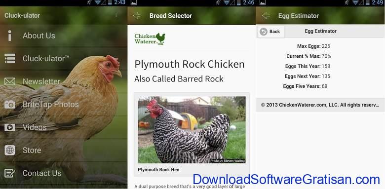 Aplikasi Peternak Ayam Gratis Android & iOS - Cluck-ulator