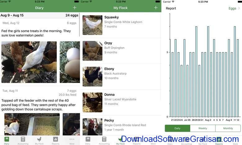 Aplikasi Peternak Ayam Gratis Android & iOS - FlockPlenty - Chicken Egg Tracker