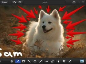 Aplikasi Screenshot Terbaik untuk Mac Monosnap