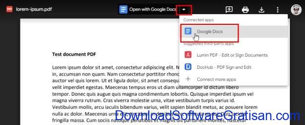 Cara Terbaik untuk Mengonversi PDF ke Word secara Gratis - Gunakan Google PDF to Word Converter Step 3