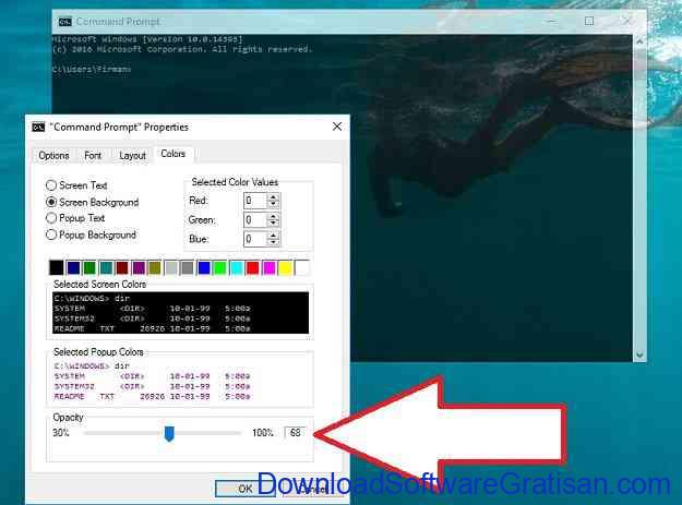 Konfigurasi transparansi dalam Command Prompt Langkah 2