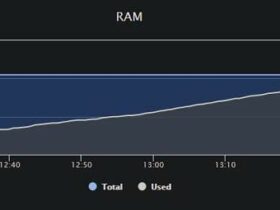 Memory Leaks