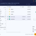 hasil scanning ibeesoft free data recovery - memulihkan foto video dokumen yang dihapus di pc windows secara gratis